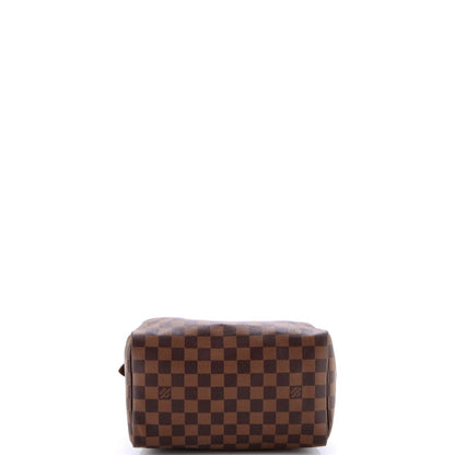 Louis Vuitton Speedy Handbag Damier 25