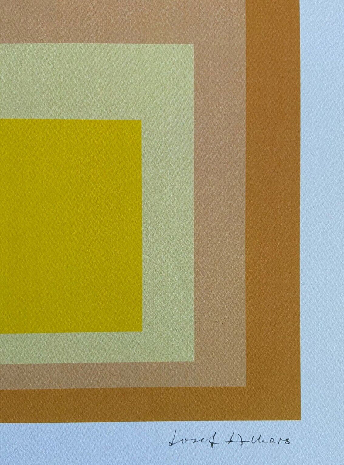 Josef Albers Lithograph Coa Numbered Signed Op (Piet-Mondrian)
