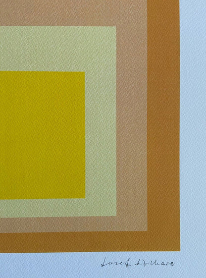 Josef Albers Lithograph Coa Numbered Signed Op (Piet-Mondrian)