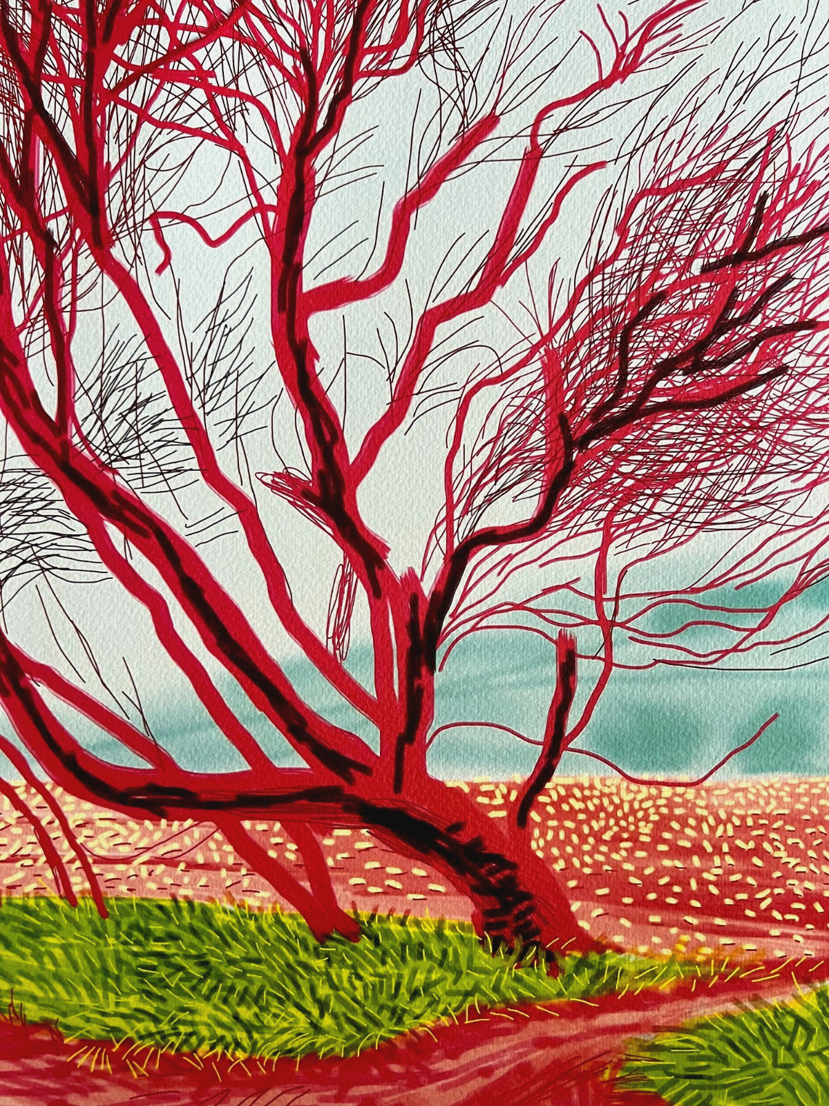 David Hockney Coa Lithograph Signed Op Hand Numbered Limited &^