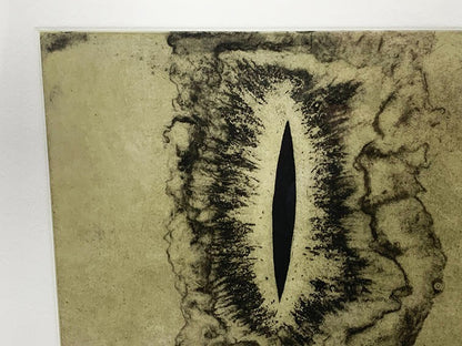 Anish Kapoor Original Etching Pencil Signed