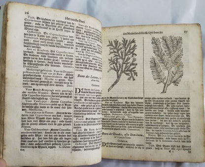 Petrus Nylandt De Nederlandtse Herbarius Kruydt-Boeck 1682 Dutch Herbal With Woo