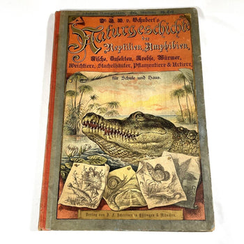 1886 Natural History By Dr. G.H. V. Schubert, 1St Amphibians, Fish, Insects