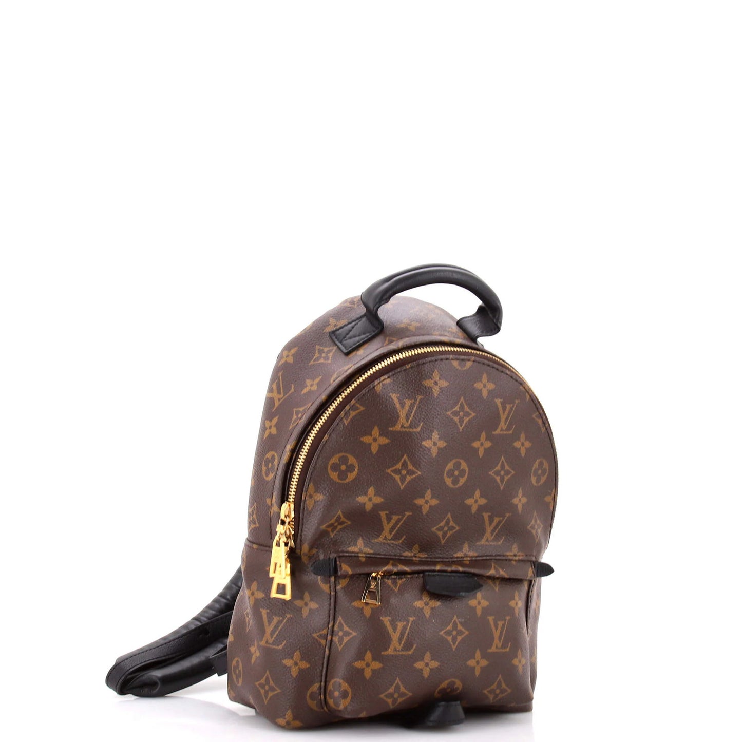 Louis Vuitton Palm Springs Backpack Monogram Canvas Pm