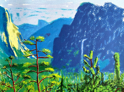 David Hockney Lithograph Coa Signed Op Hand Numbered Limited