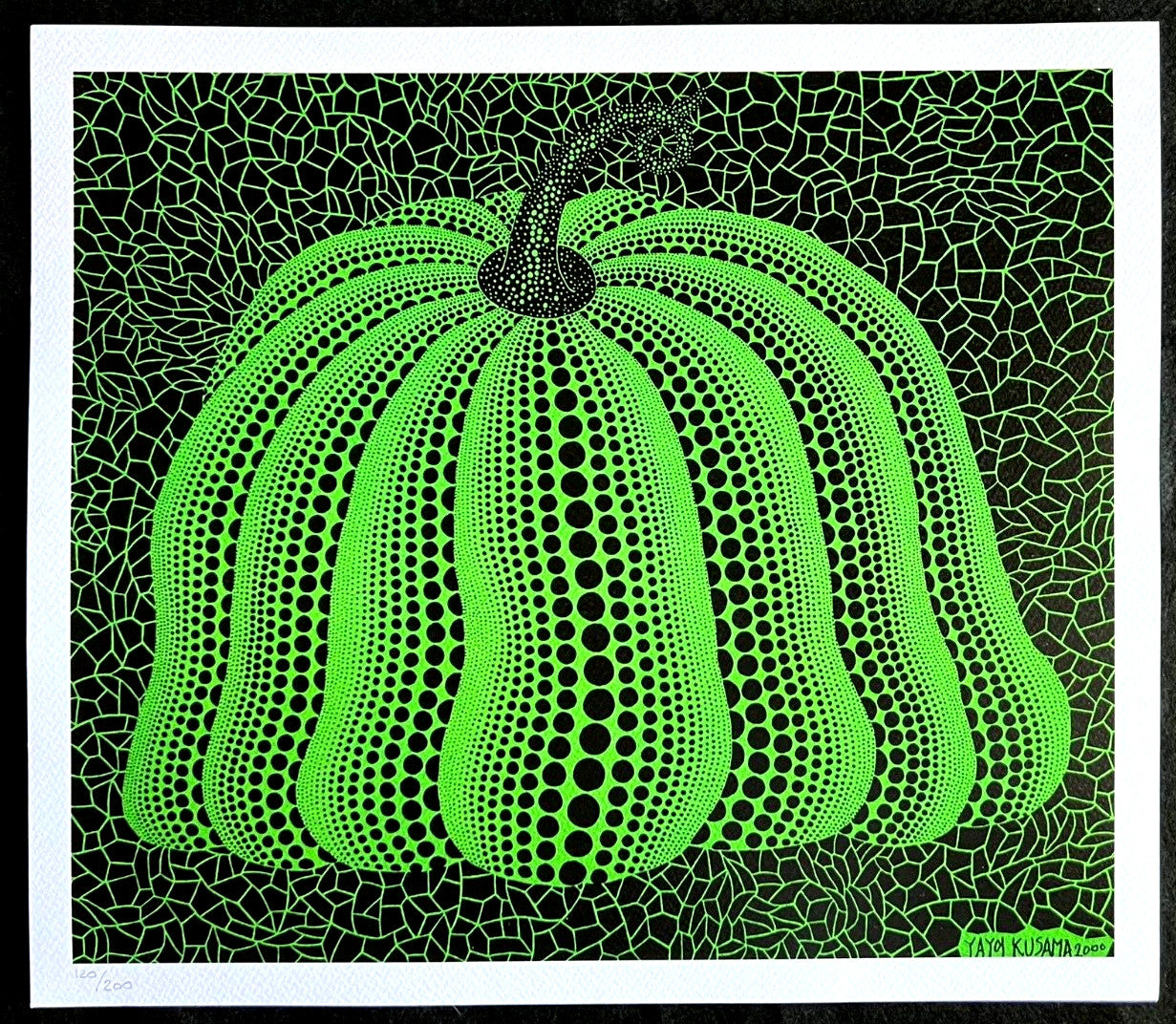 Yayoi Kusama Lithograph Mori Museum Signed O. P.Numbered Limited