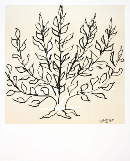 White HENRI MATISSE Le Buisson 33.5" x 26.75" Lithograph 2015 Modernism Black &