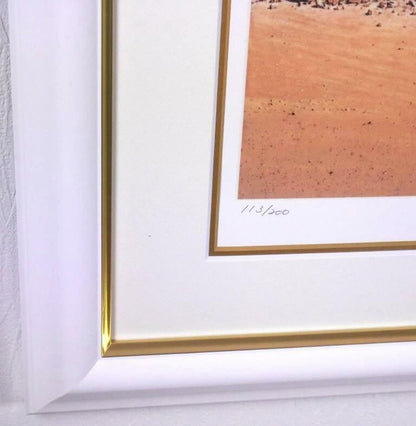 Doug Webb (1946-) - Inflation Original Giclee Art Print Signed Framed Numbered