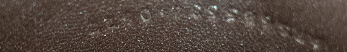 Canvas Saint Laurent Le Monogramme Crossbody Pouch Monogram All Over Coated