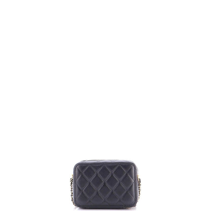 Chanel Cc Zip Around Clutch With Chain Quilted Metal And Lambskin Small