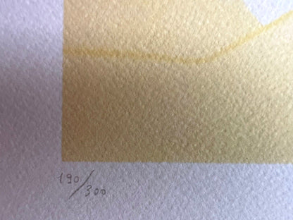 Tom Wesselmann Lithograph Coa Hand Numbered 300 Ex