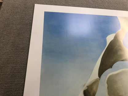 Georgia O'Keeffe Pelvis With The Distance " Offset Lithograph Moder