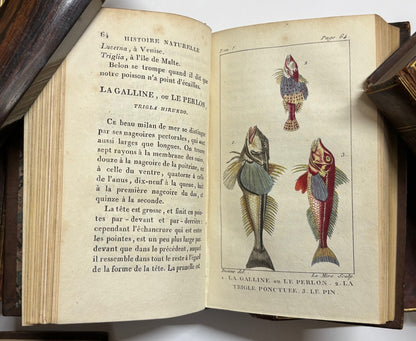 Bloch Marcus Elieser "Histoire Naturelle Des