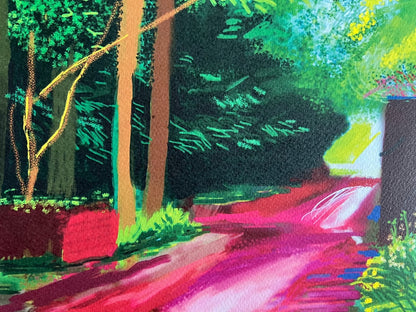 David Hockney Lithograph Coa Signed Op Numbered A Hand Limited &