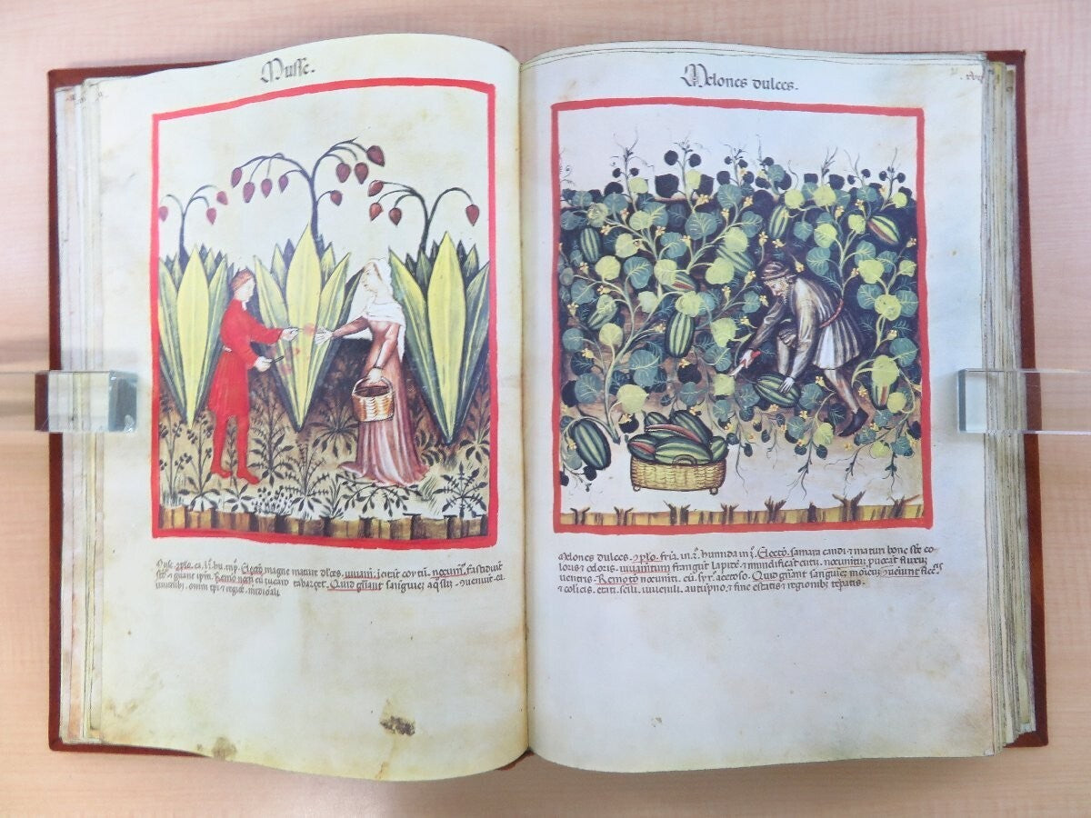 Tacuinum Sanitatis In Medicina. Codex Vindobonensis Series Nova 2644 Facsimile