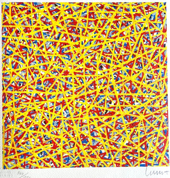 Sol Lewitt Lithograph Coa Signed By Hand Numbered