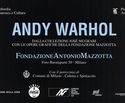 Andy Warhol The Star, " Poster Pop Art