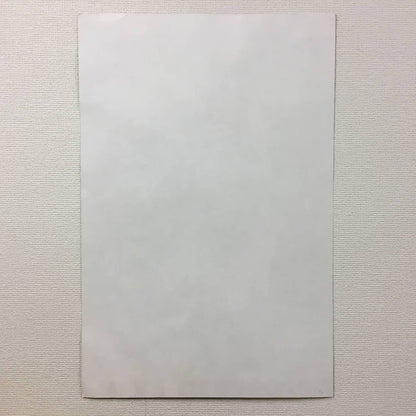 Horst Janssen Signed Poster "Magnolia" Berggruen Paris A2 66X44Cm German Artist