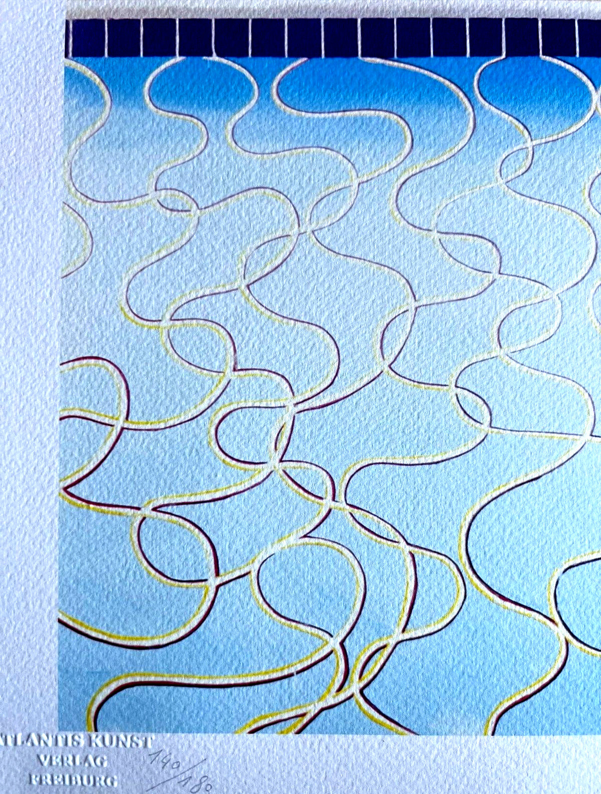 David Hockney Lithograph Coa Signed Op Numbered Limited