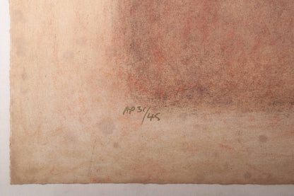 Roy Fairchild - Laura Original Lithograph Print Signed Well Framed Ed45