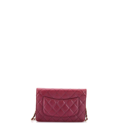 Chanel Reissue 2.55 Wallet On Chain Quilted Lambskin