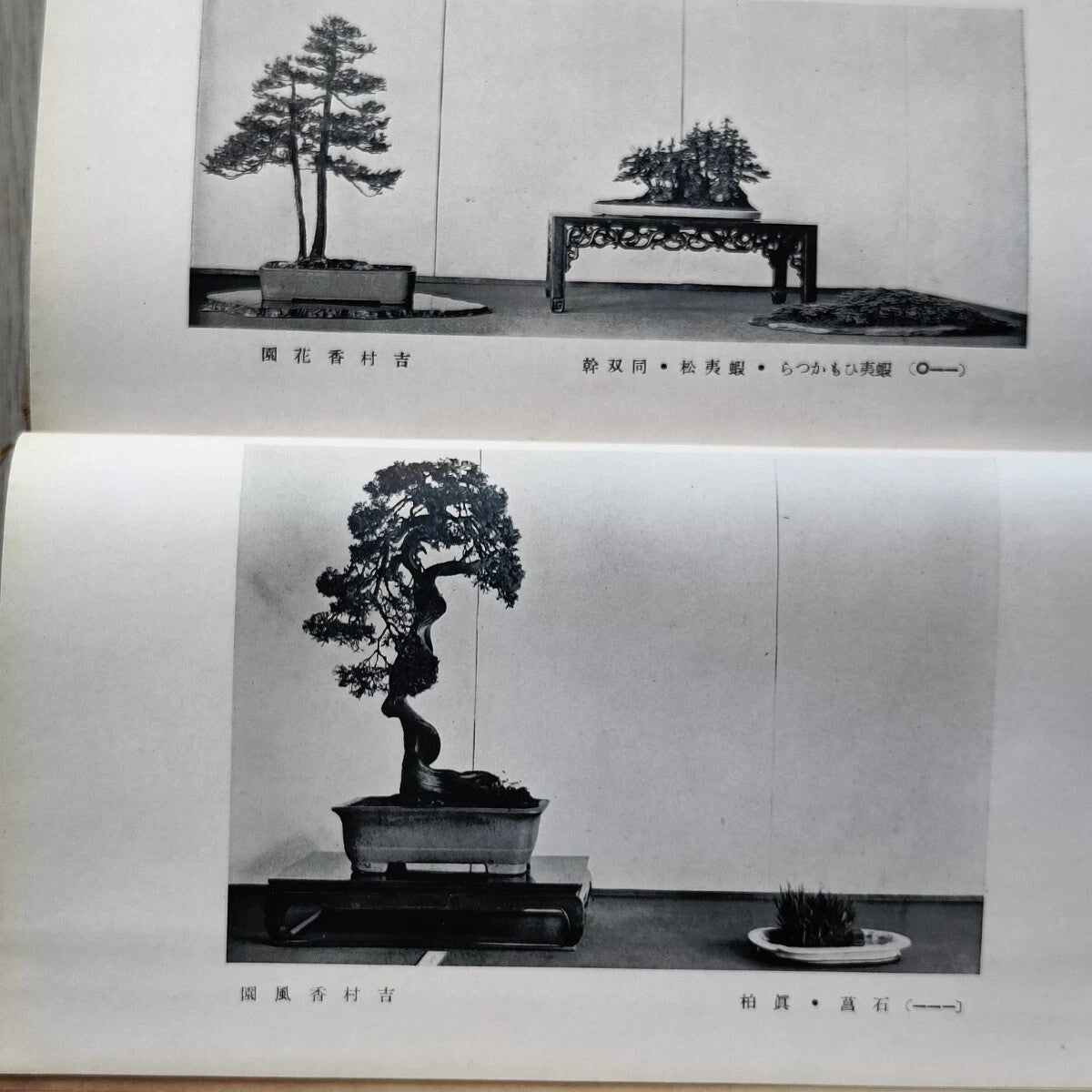 Kokufu Bonsai Ten 3rd Exhibition Catalogue Most Famous Bonsai Show