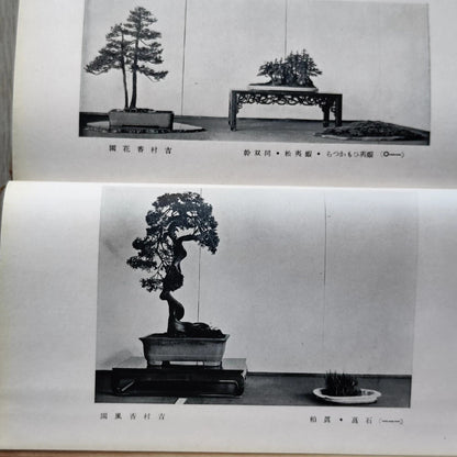 Kokufu Bonsai Ten 3rd Exhibition Catalogue Most Famous Bonsai Show