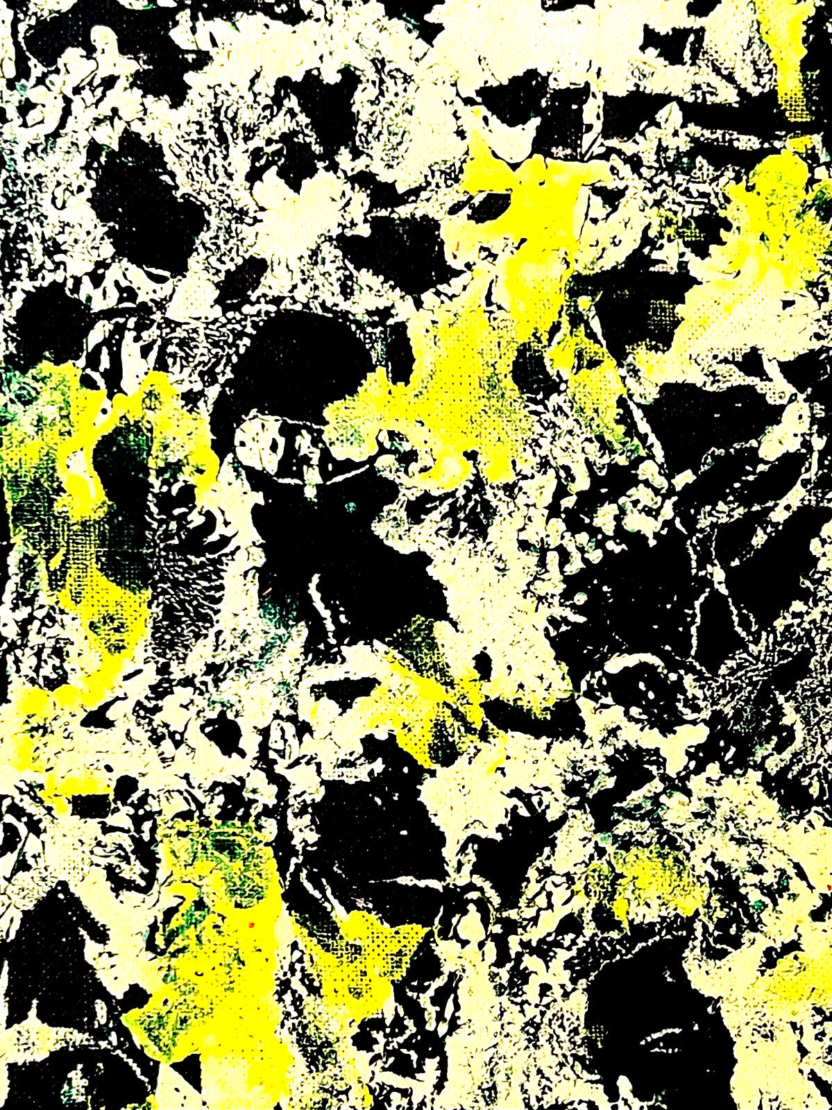 Jackson Pollock Action Painting Coa Signed Numbered By Hand. Eduardo Chillida