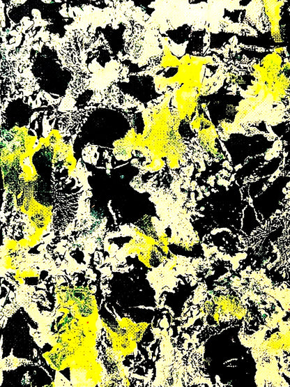 Jackson Pollock Action Painting Coa Signed Numbered By Hand. Eduardo Chillida