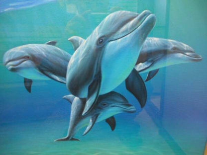 Charles Lynn Bragg - Dolphin Unique Original