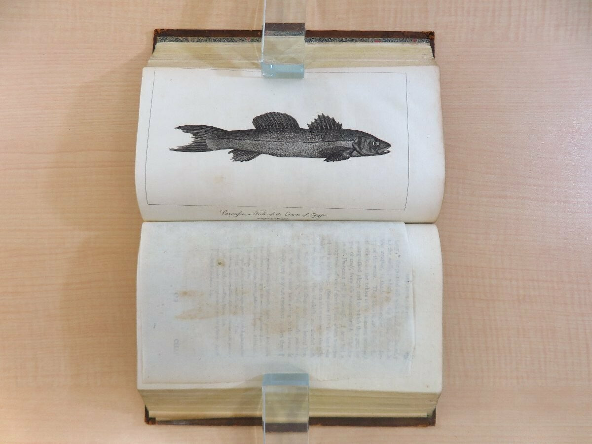 Travels in Upper and Lower Egypt 1799 London - Charles Nicolas Sigisbert Sonnini