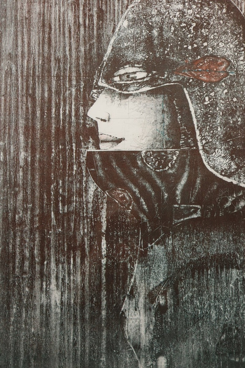 Paul Wunderlich Amazones Ed15 Original Lithograph Signed Framed Surrealism Art