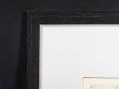 Veronika Paleckova "Portrait" Signed Etching Limited 30 Framed Czech Art