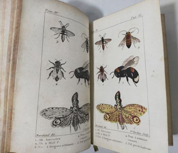 Tigny Histoire Naturelle Des Insectes Vol 4 Paris 1813 Handcolored Plates Rare