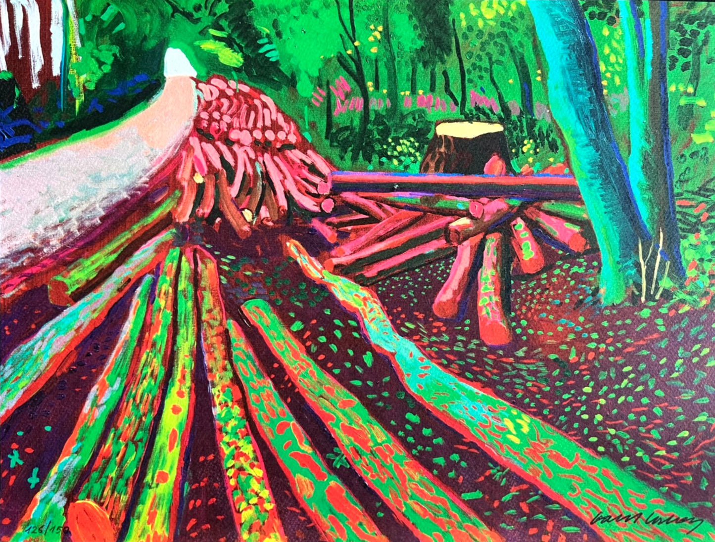 David Hockney Lithograph Coa Signed Op Numbered A Hand Limited &