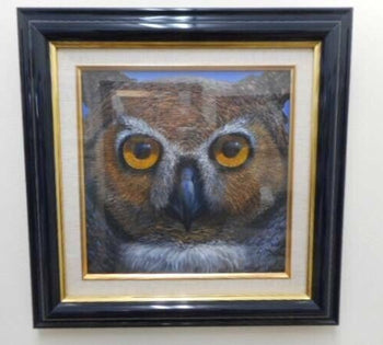 Charles Lynn Bragg - Owl Unique Original Acrylic