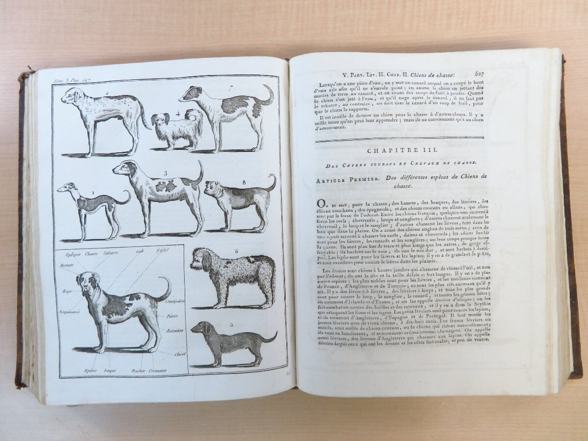 Louis Liger La Nouvelle Maison Rustique ; Ou, Economie Rurale 1805 Agriculture
