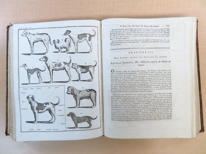 Louis Liger La Nouvelle Maison Rustique ; Ou, Economie Rurale 1805 Agriculture