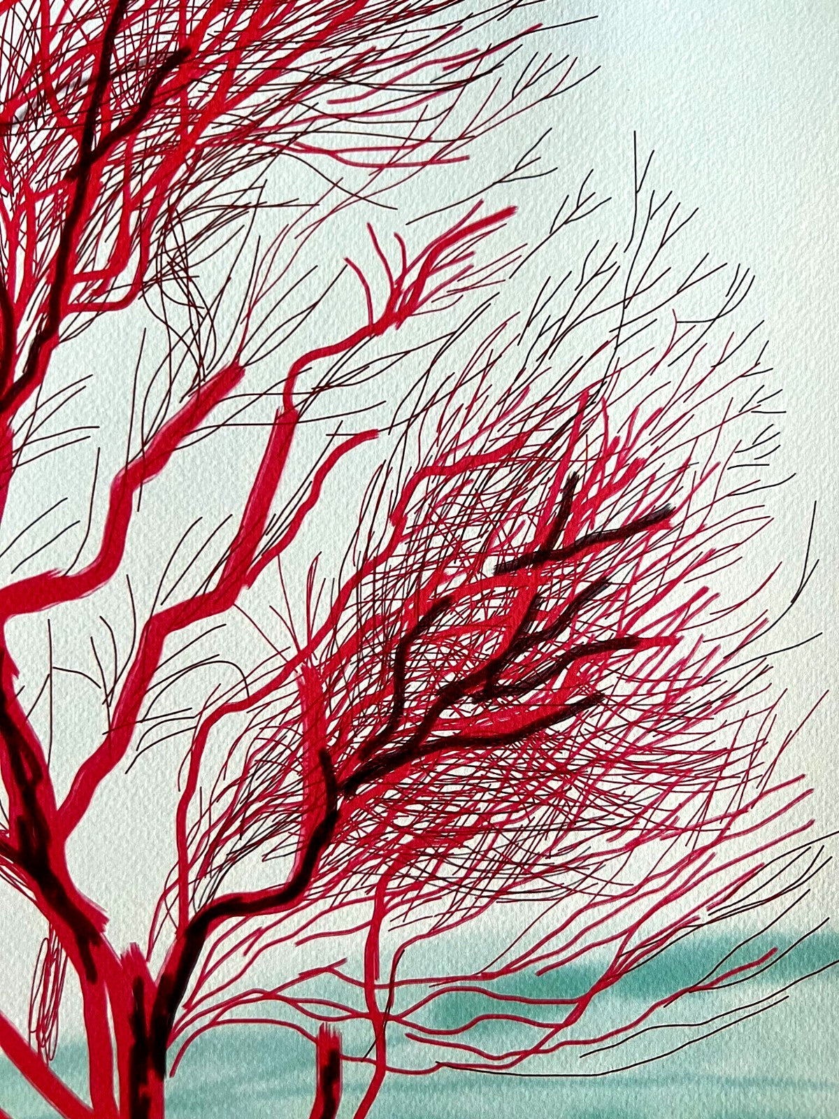 David Hockney Coa Lithograph Signed Op Hand Numbered Limited &^