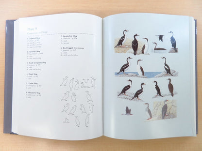 Bird Families Of The World (Set Of 6 Books) 2004 Oxford University Press