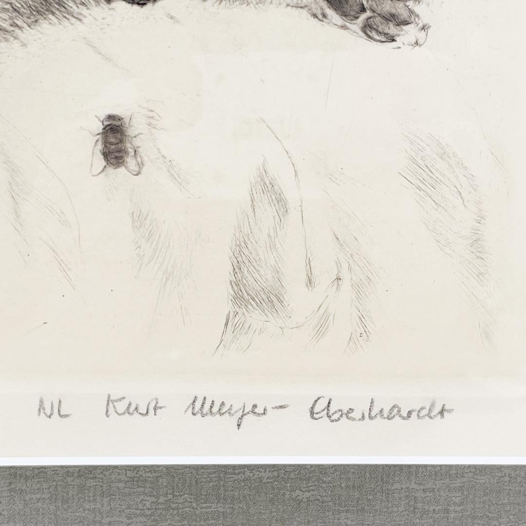 Kurt Meyer-Eberhardt Etching Cat Kitten Original Radierung Signed 4/97 Framed