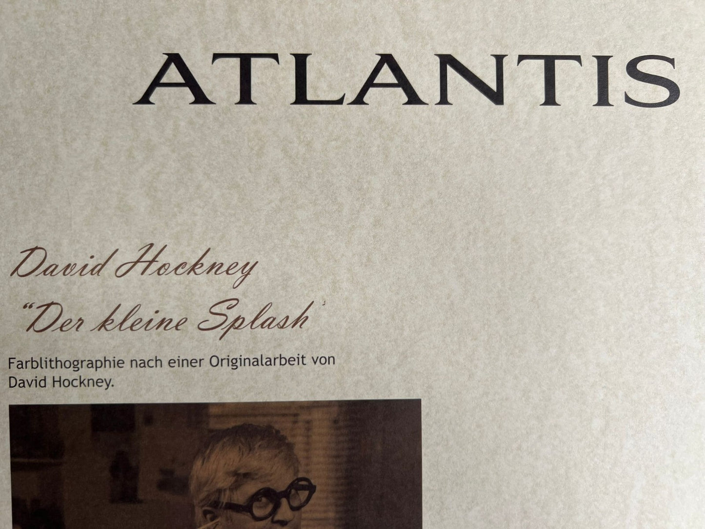 David Hockney Lithograph Handmade Coa Signed Op Numbered In Pencil