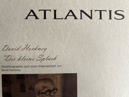 David Hockney Lithograph Handmade Coa Signed Op Numbered In Pencil