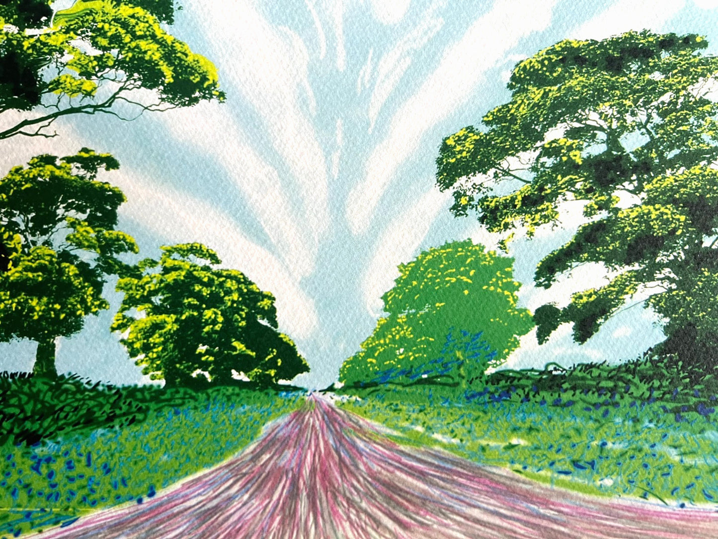 David Hockney Lithograph Coa Signed Op Numbered A Hand Limited