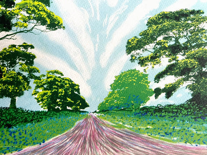 David Hockney Lithograph Coa Signed Op Numbered A Hand Limited