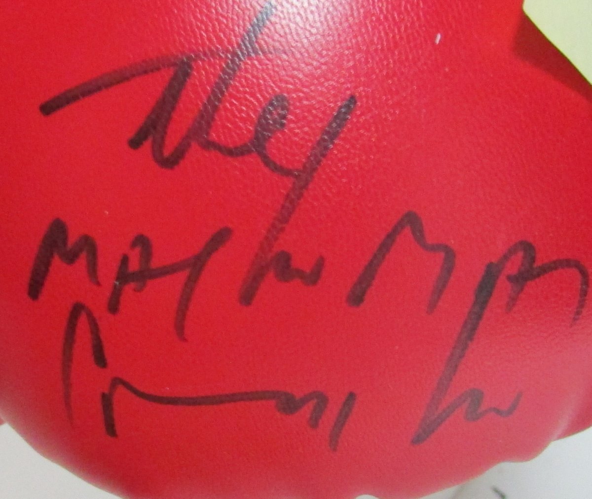 2004 Children'S Fight Night Multi Signed Boxing Gloves Incl Spinks/Cooney 147547