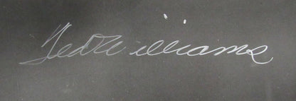 Ted Williams Hof Signed/Auto 16X20 B/W Photo