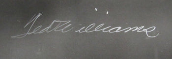 Ted Williams Hof Signed/Auto 16X20 B/W Photo