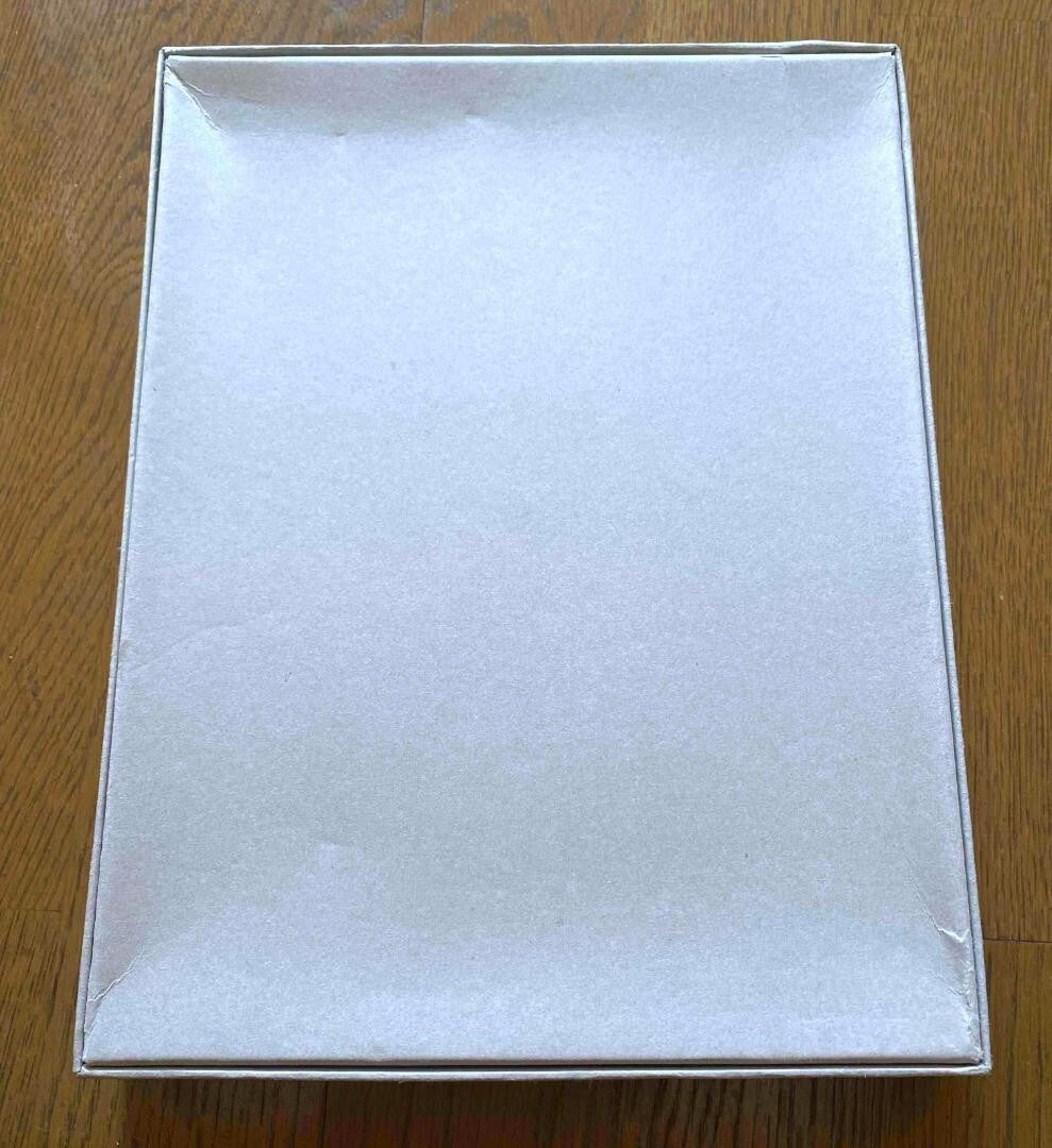 Saint Laurent Celine Box Rock Slimane Hedi Diary 2008 Photography