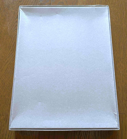 Saint Laurent Celine Box Rock Slimane Hedi Diary 2008 Photography